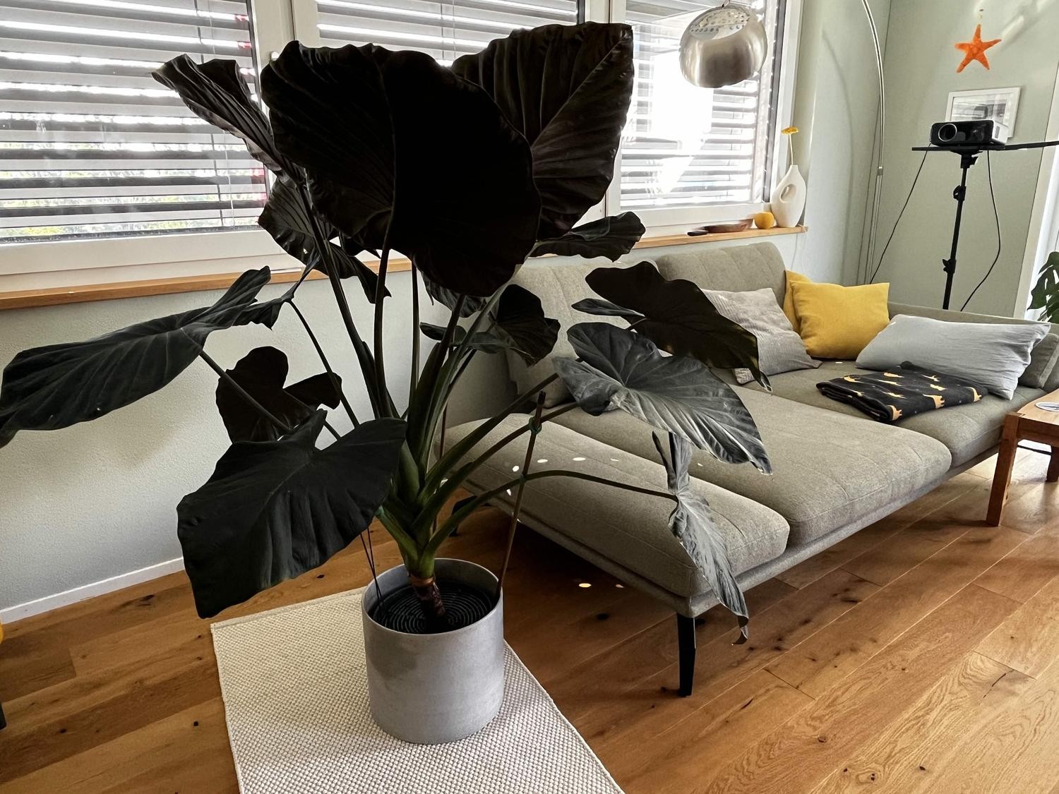 Maison individuelle de 4 ½ pièces, photo 3 sur 10