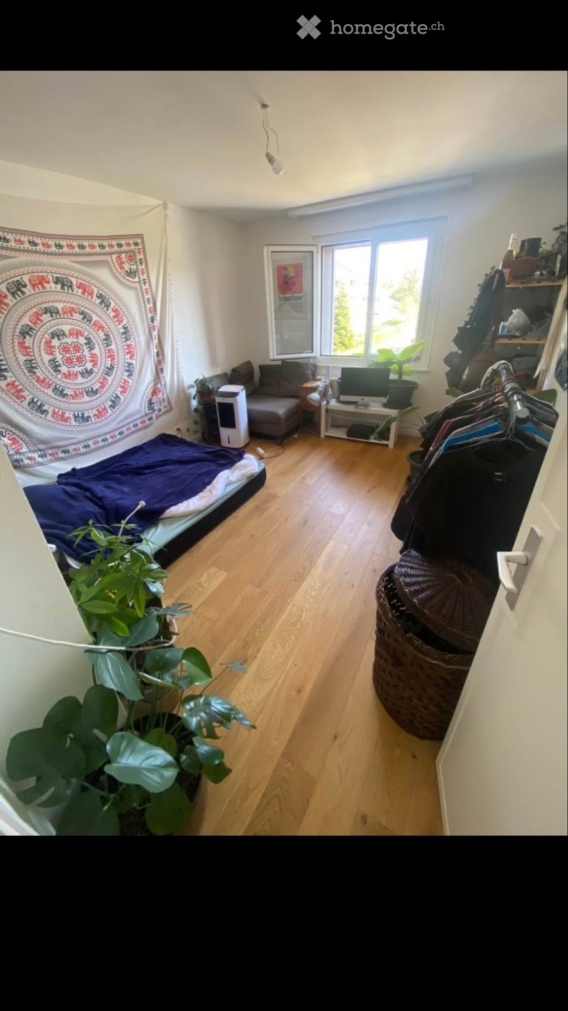 1 room single room, photo 3 sur 4