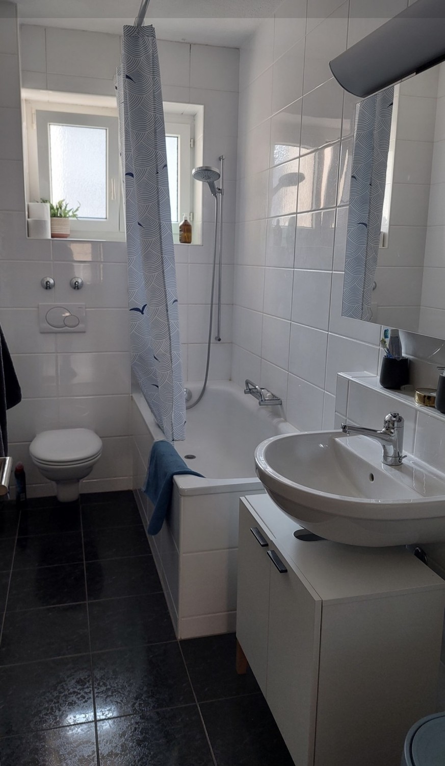 Appartement de 2 ½ pièces