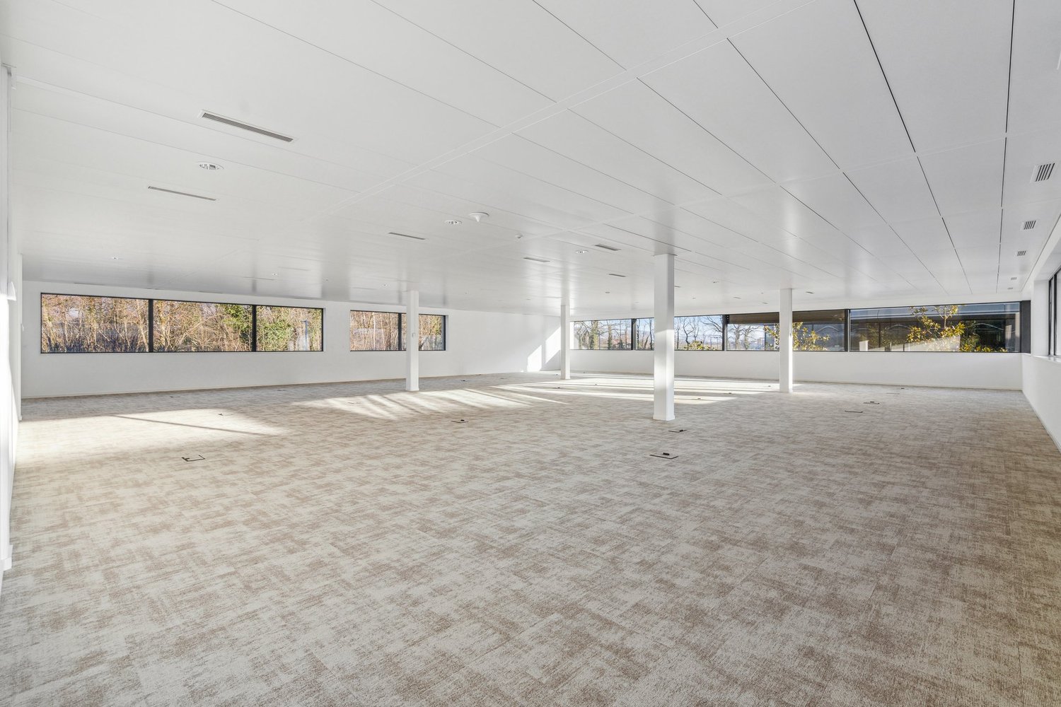 134m² office