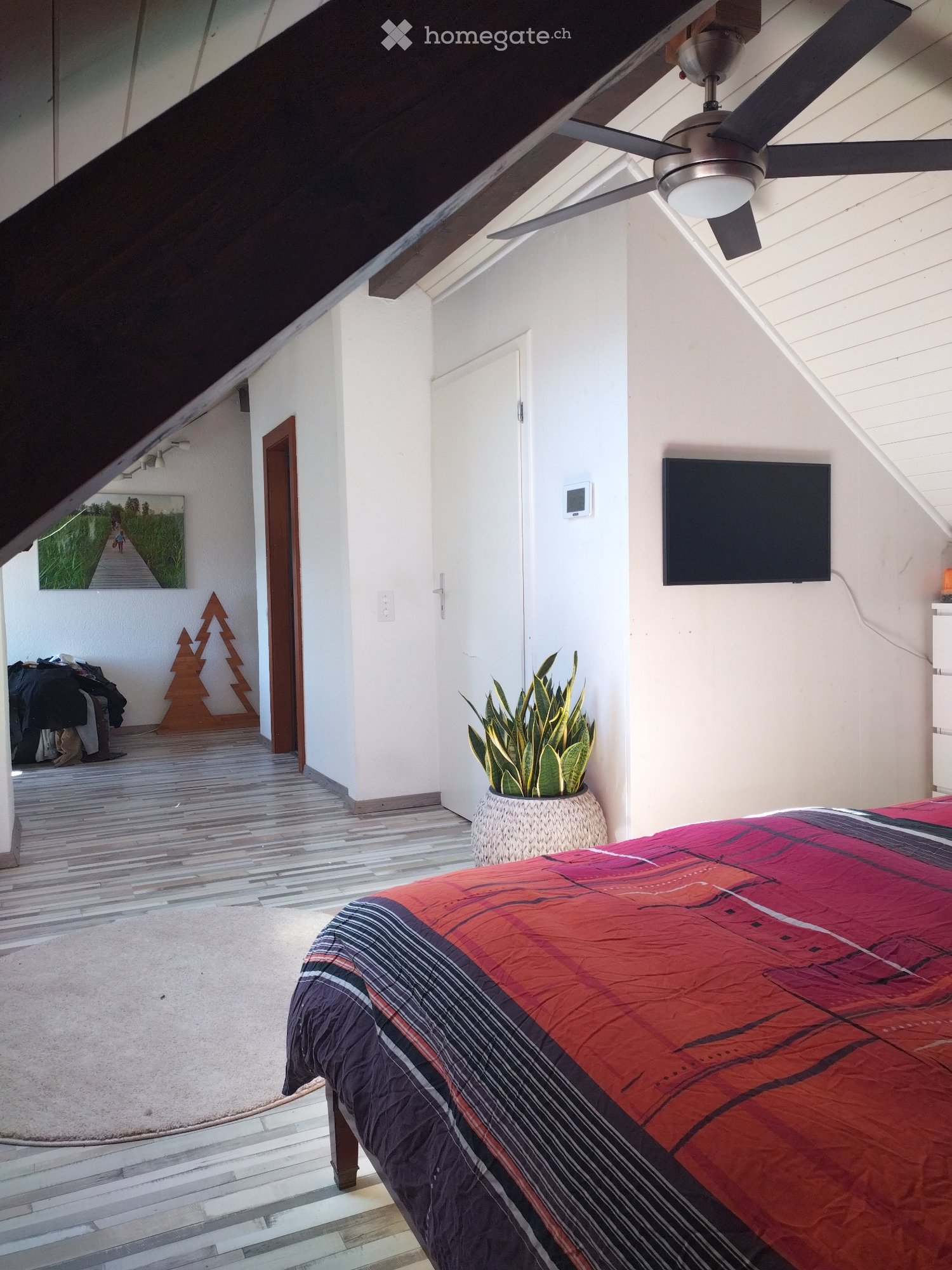 1 room single room