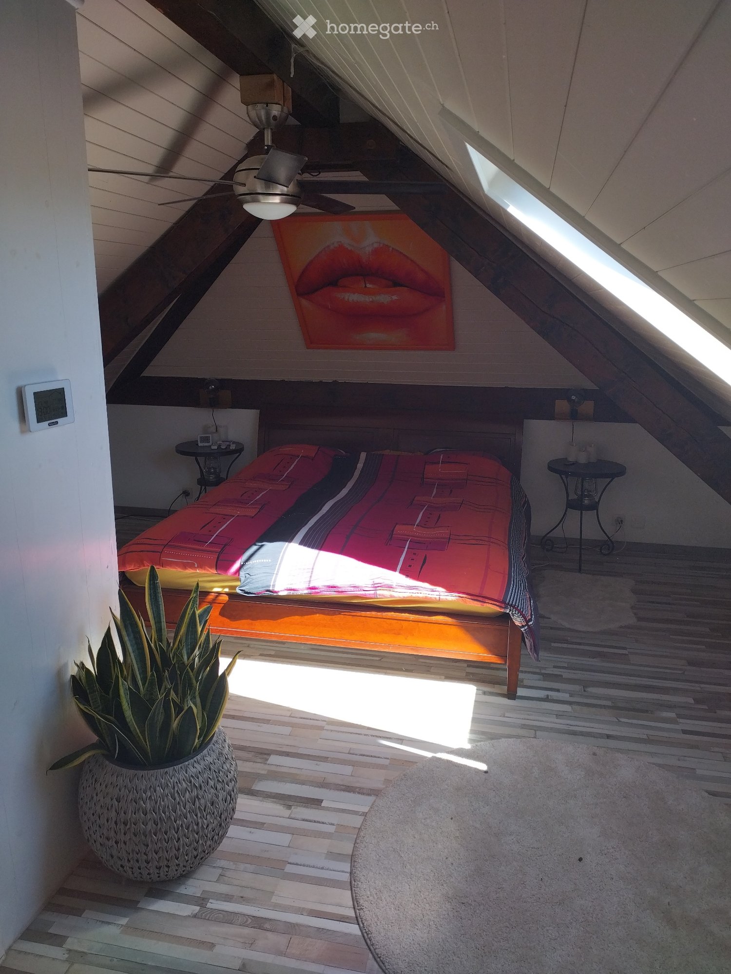 1 room single room