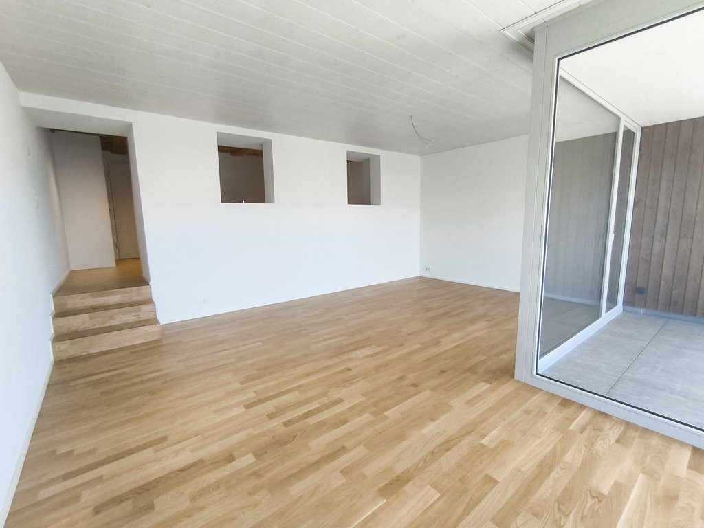 5 ½ rooms duplex