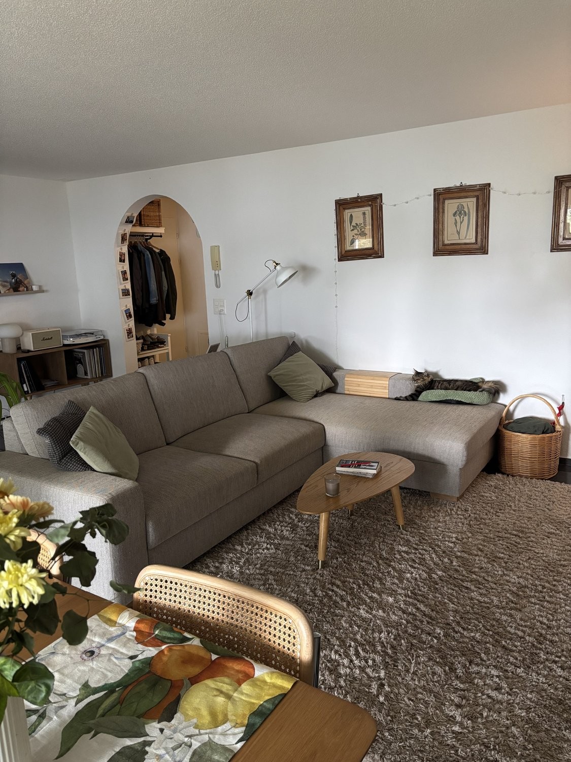 3 ½ rooms furnished flat