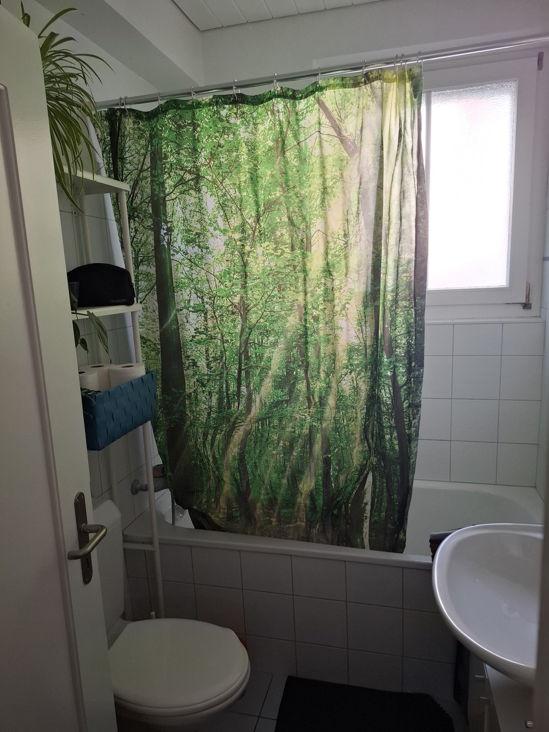 Appartement de 2 ½ pièces, photo 4 sur 7