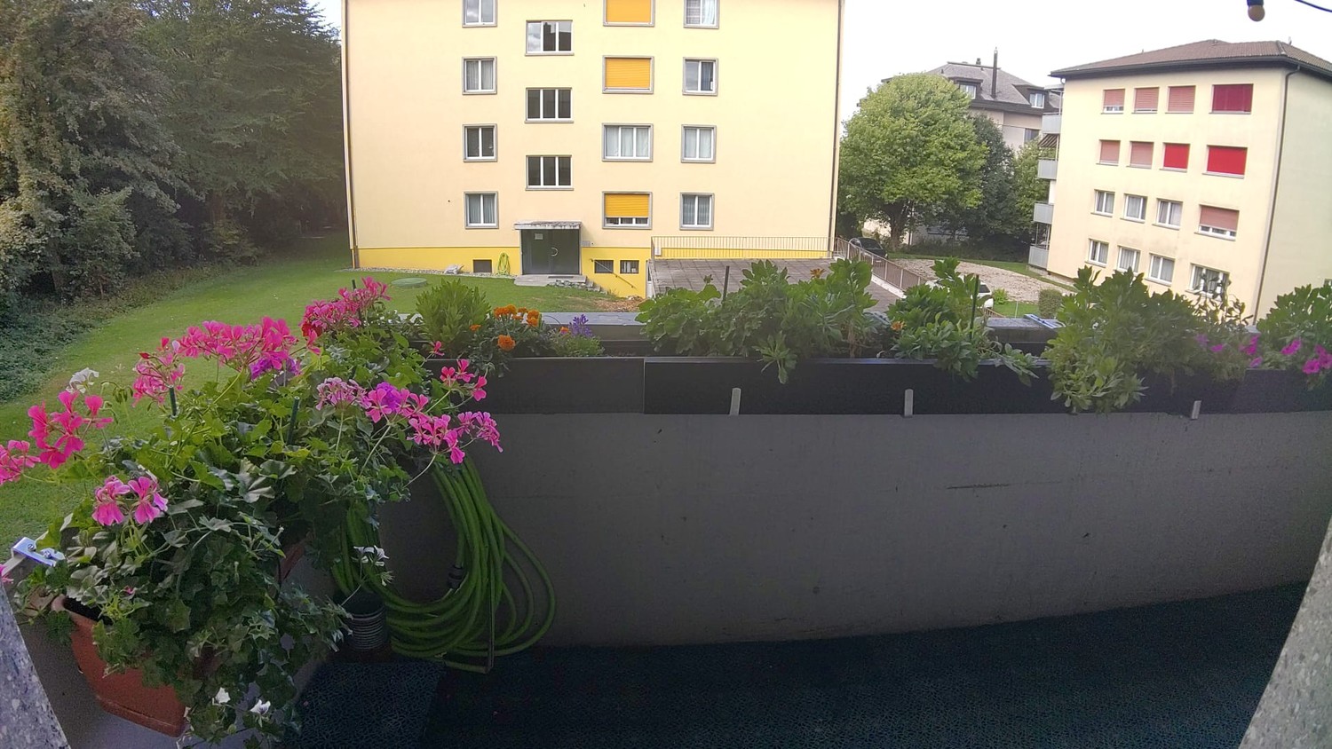 1 room apartment