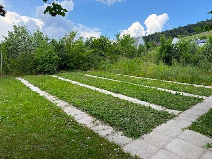 Jardin ouvrier, photo 2 sur 3