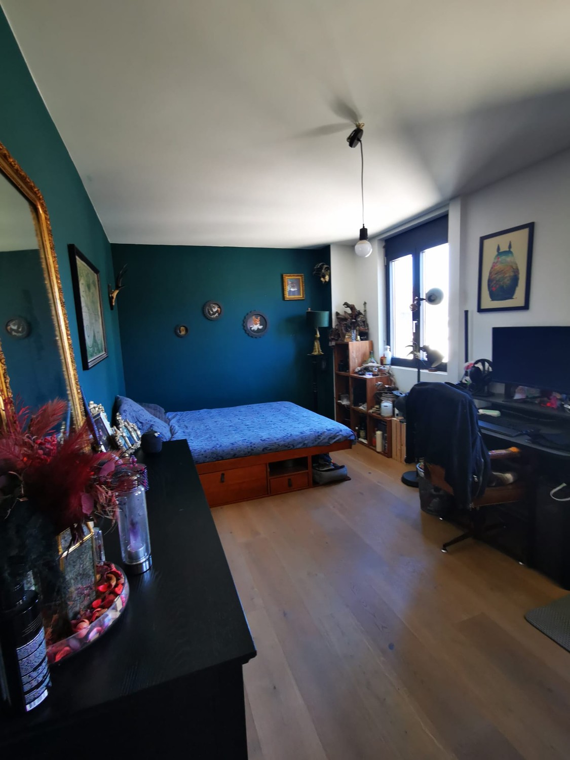 Room in a shared flat