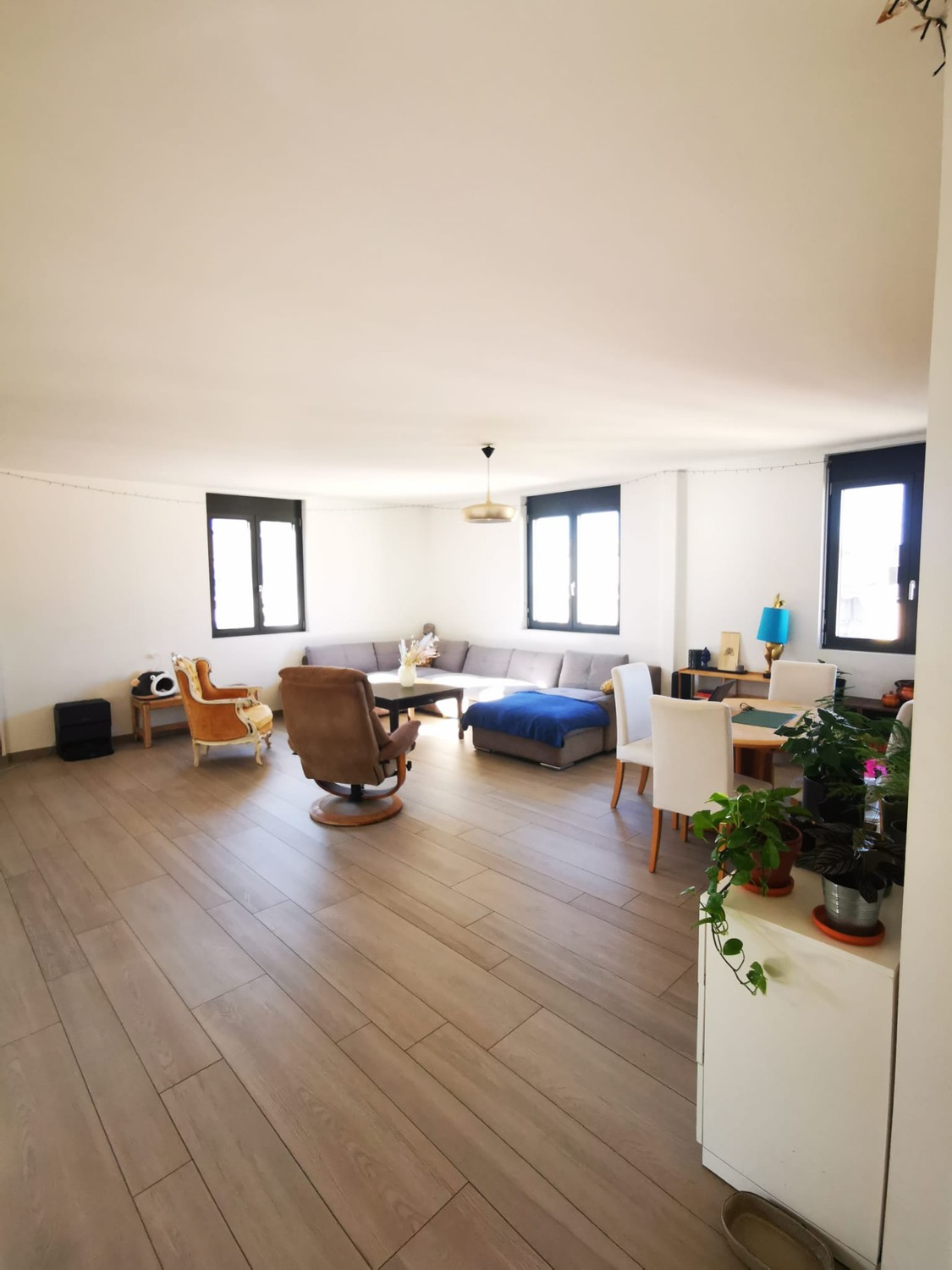 Room in a shared flat
