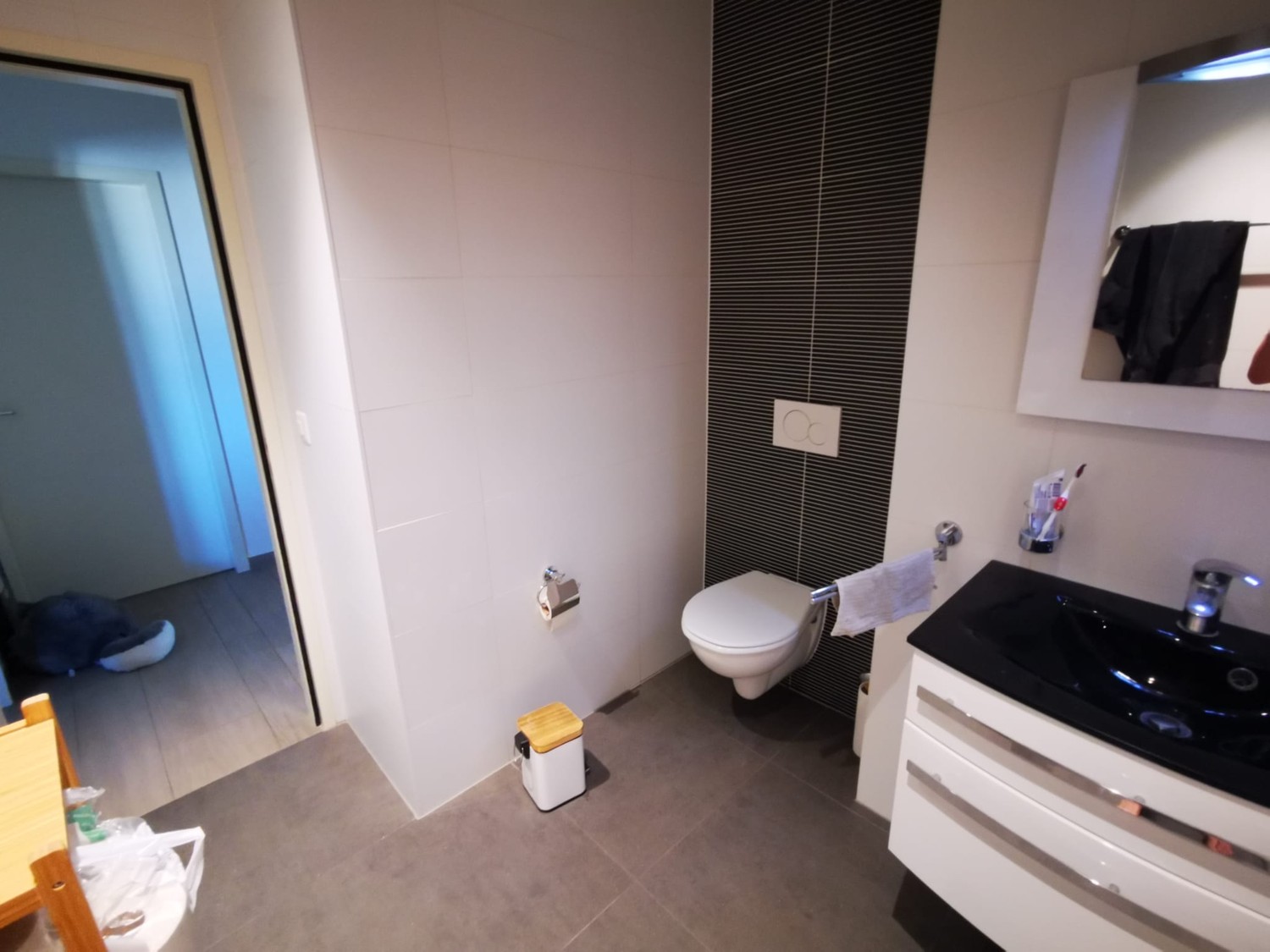 Room in a shared flat