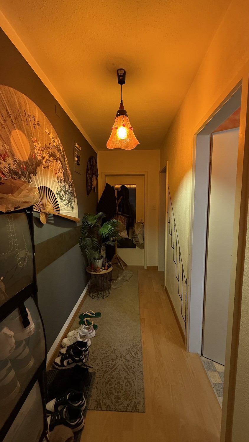 Appartement de 1 ½ pièce, photo 3 sur 4
