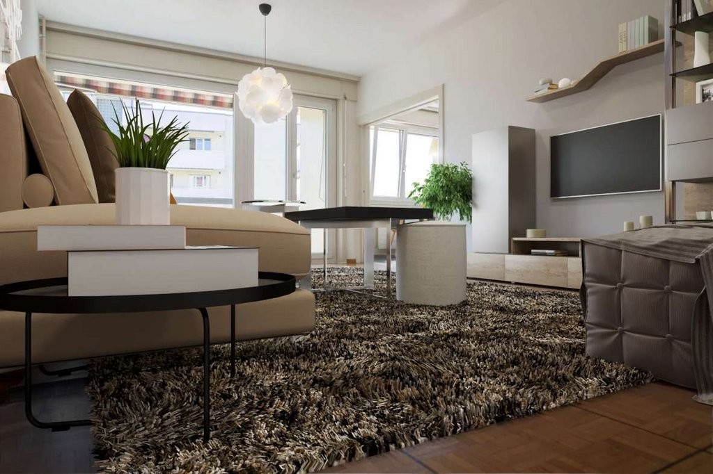 2 ½ rooms apartment