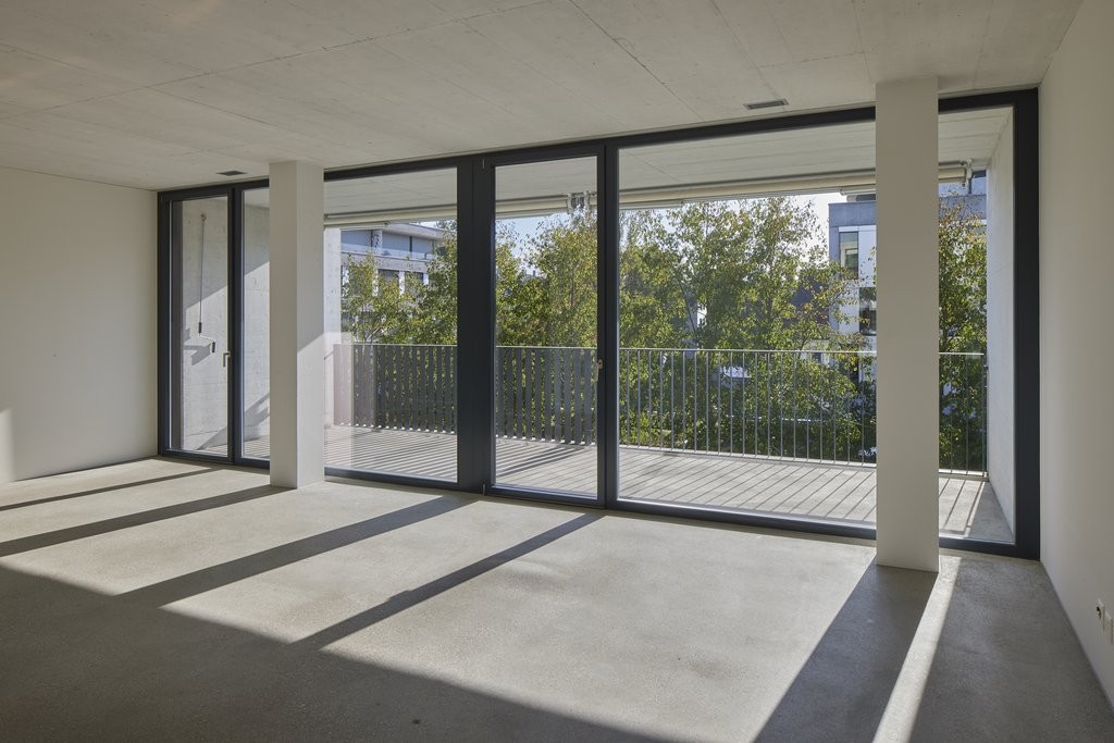 loft 1 pièce