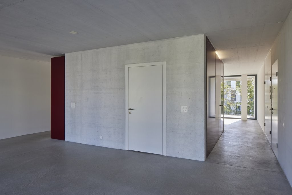 loft 1 pièce