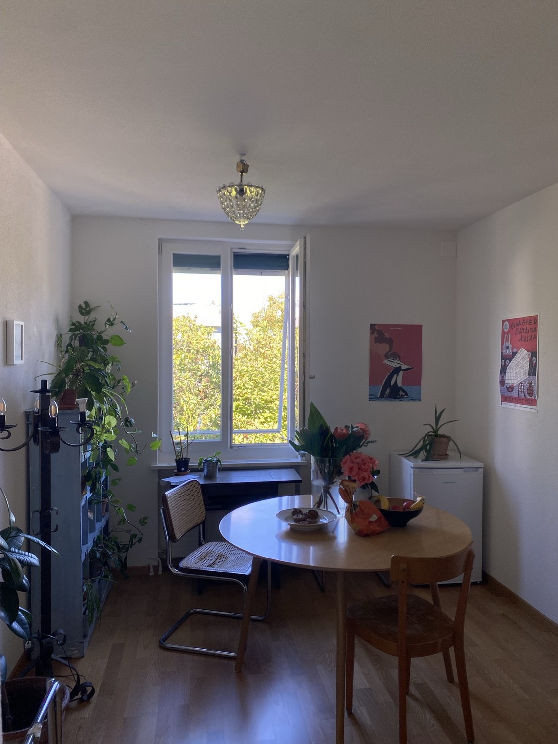 Chambre en colocation