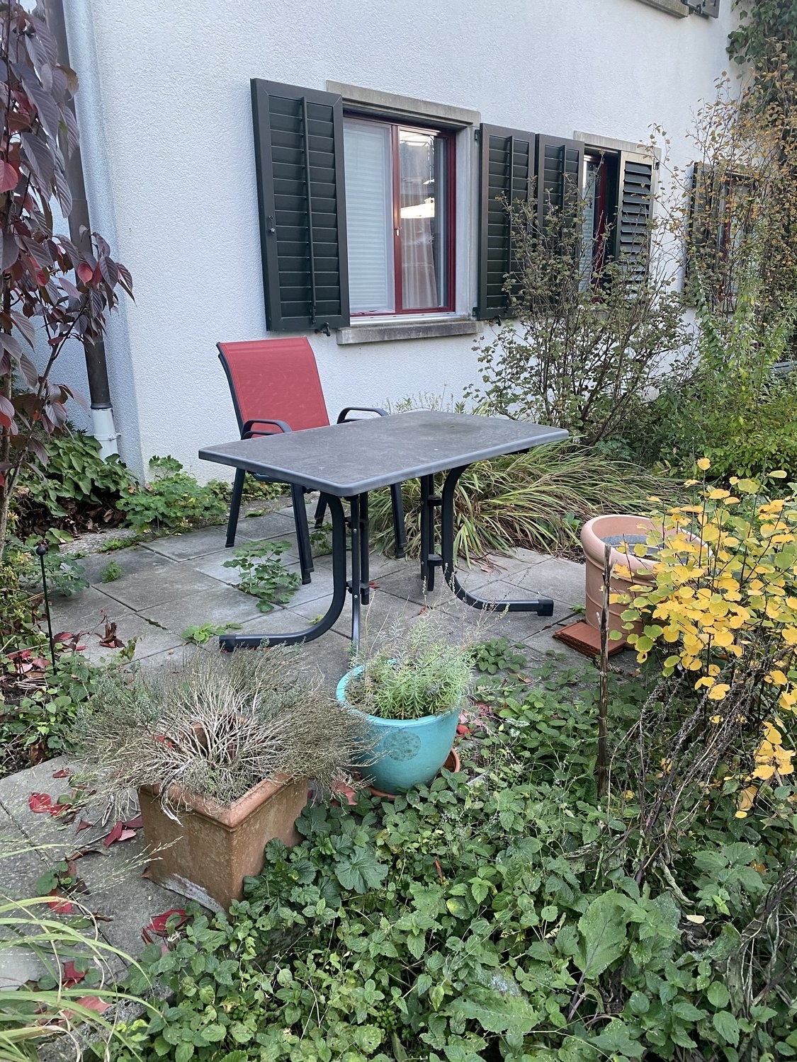 Appartement meublé de 3 ½ pièces, photo 8 sur 8