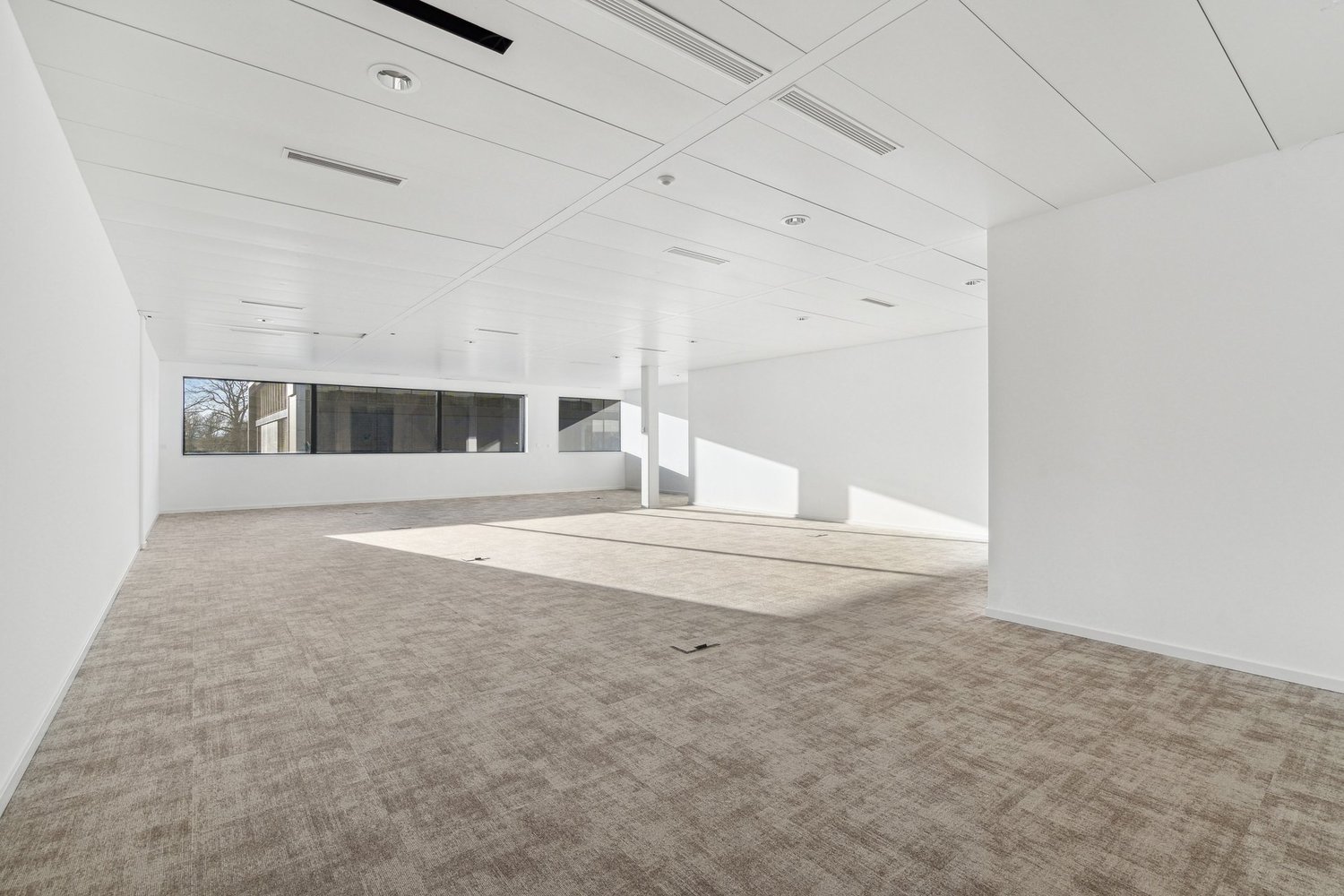 254m² office, photo 4 sur 8
