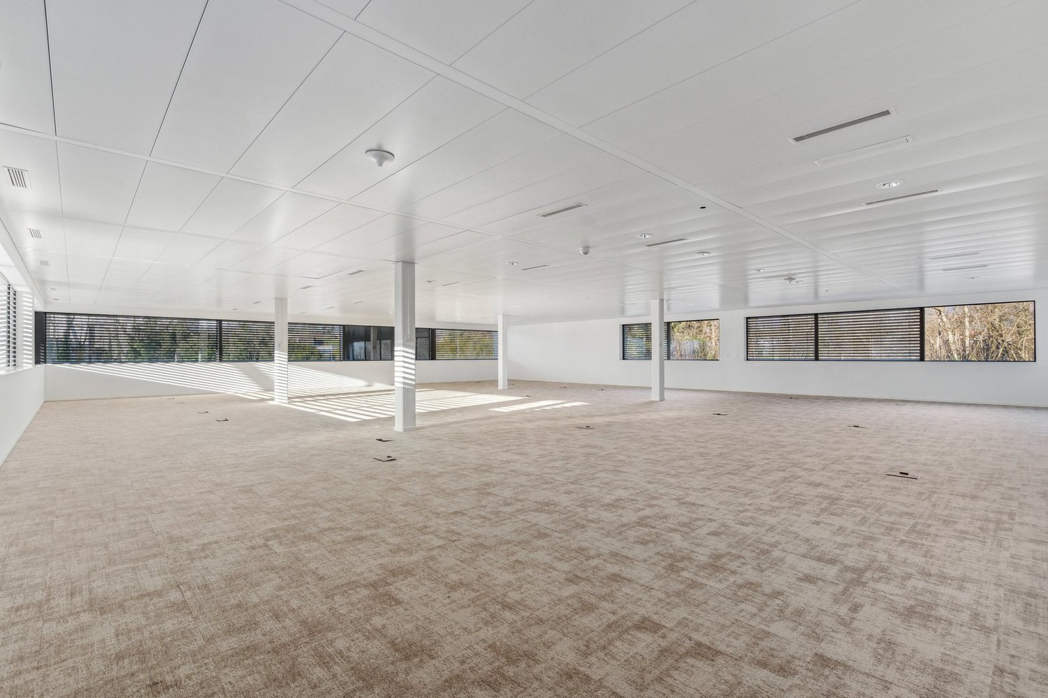 254m² office, photo 6 sur 8