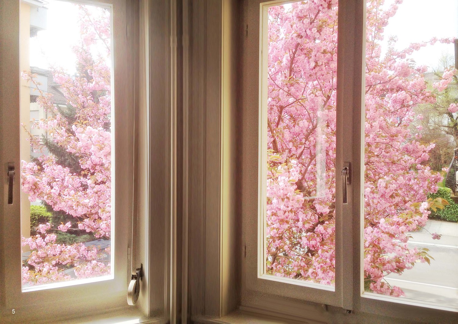 Chambre en colocation