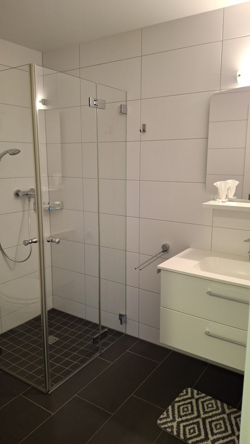 Appartement de 1 ½ pièces, photo 5 sur 10