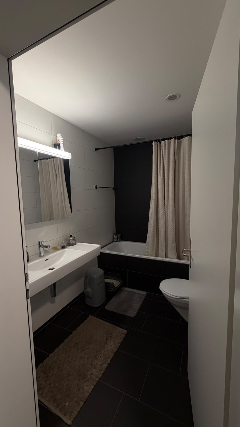 Appartement de 3 ½ pièces