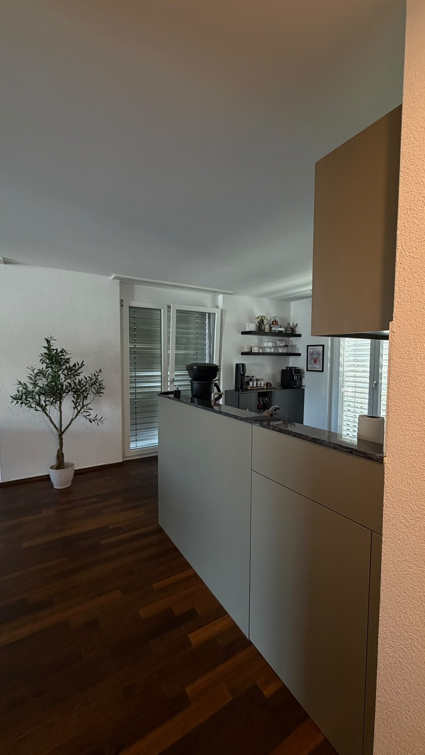 Appartement de 3 ½ pièces