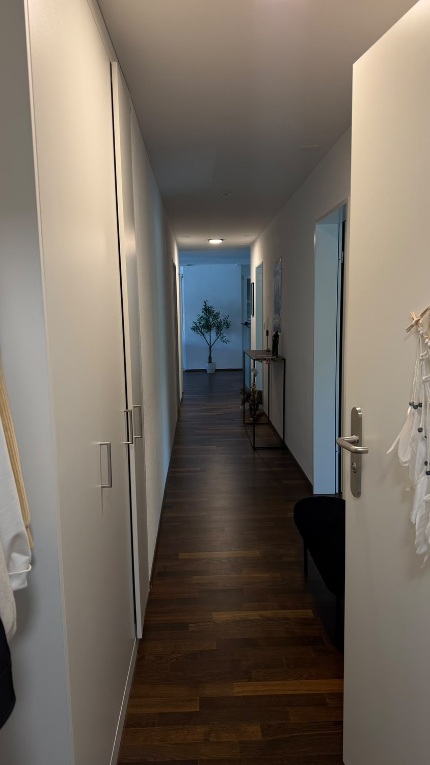 Appartement de 3 ½ pièces