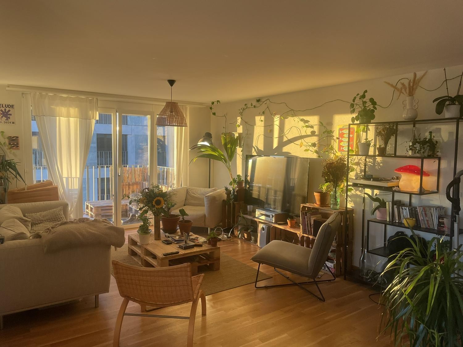 Room in a shared flat, photo 1 sur 3