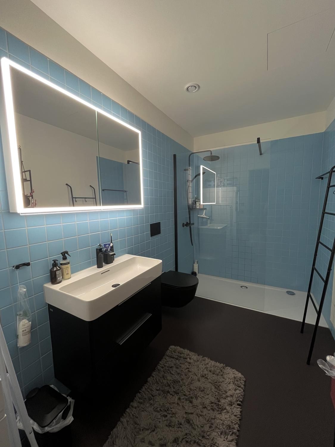 Appartement de 1 ½ pièces