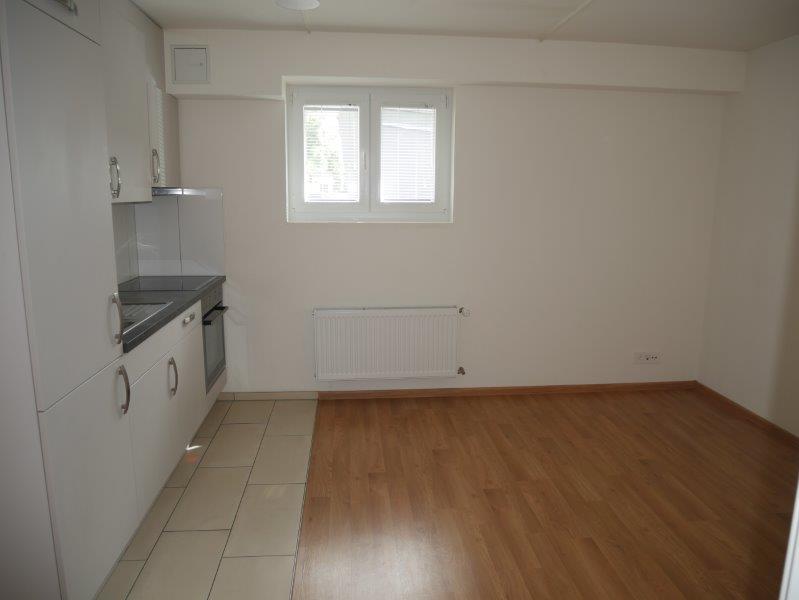 1 ½ rooms apartment, photo 4 sur 7