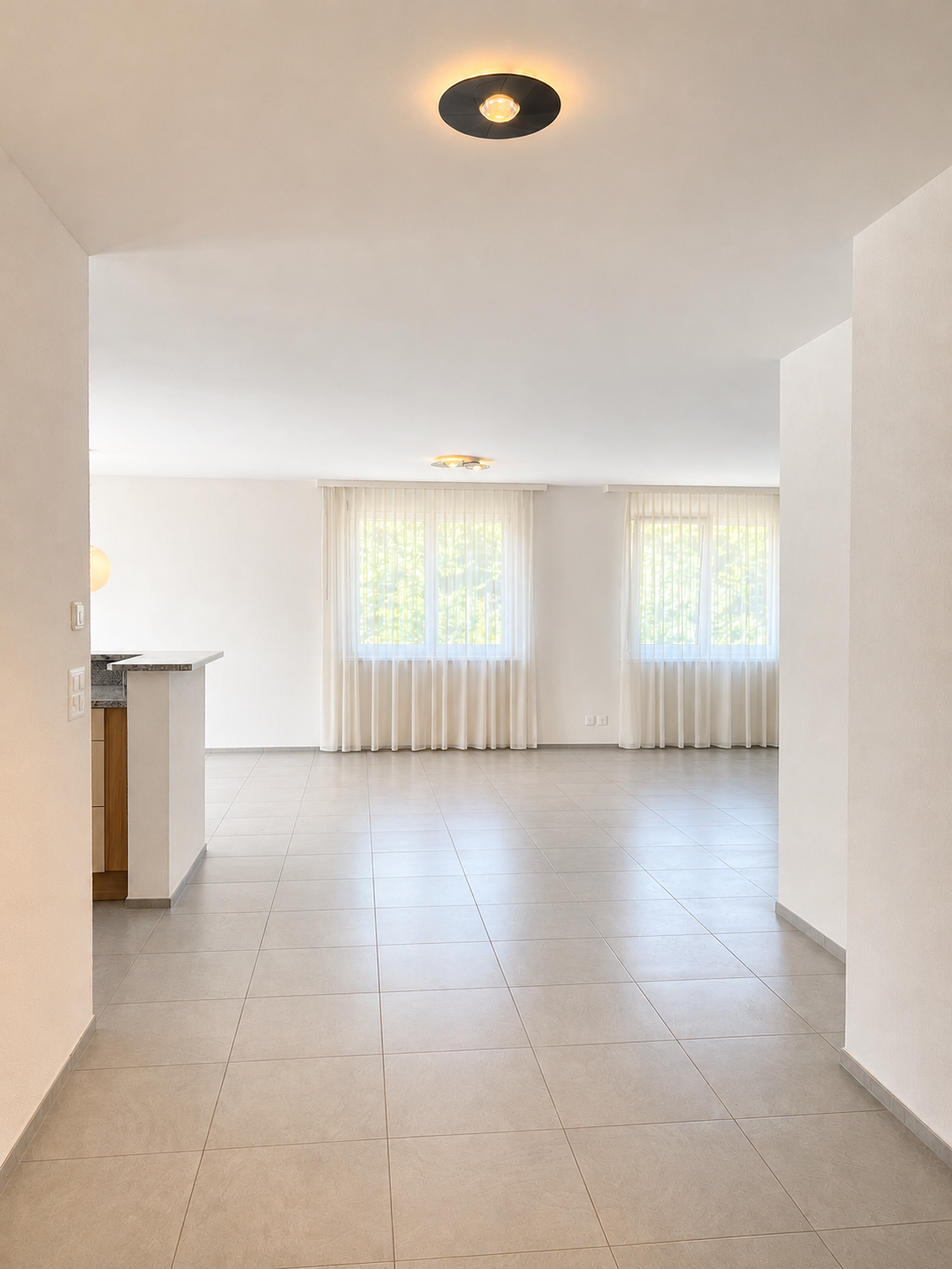 Appartement de 3 ½ pièces