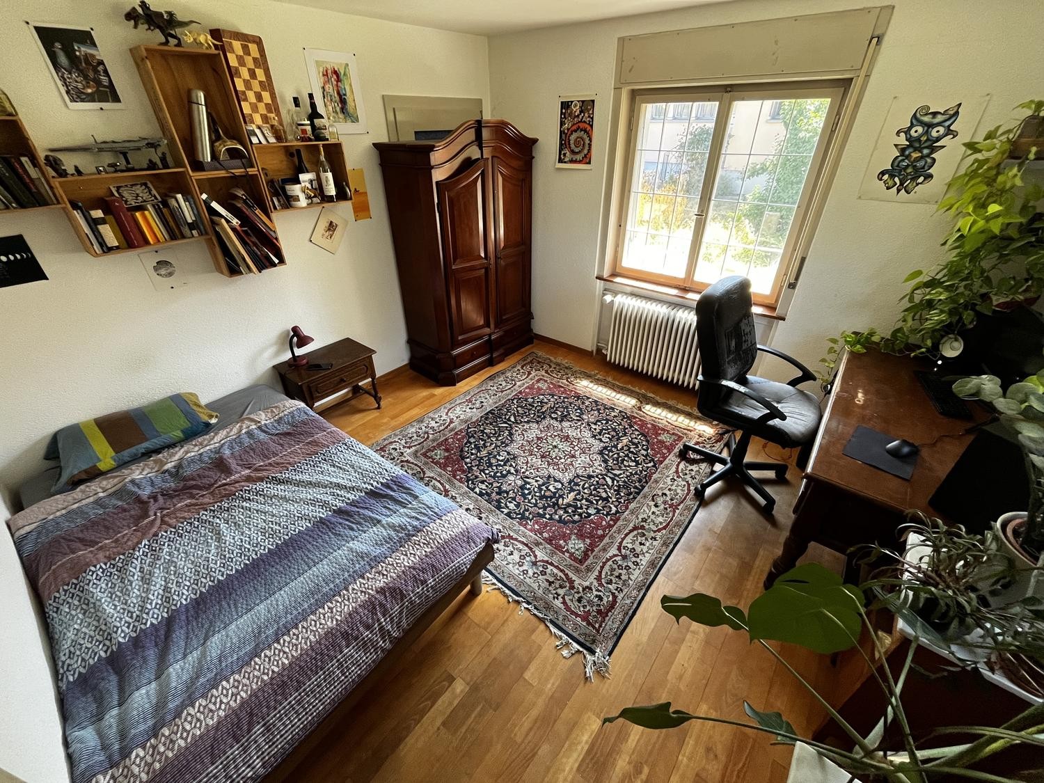Room in a shared flat