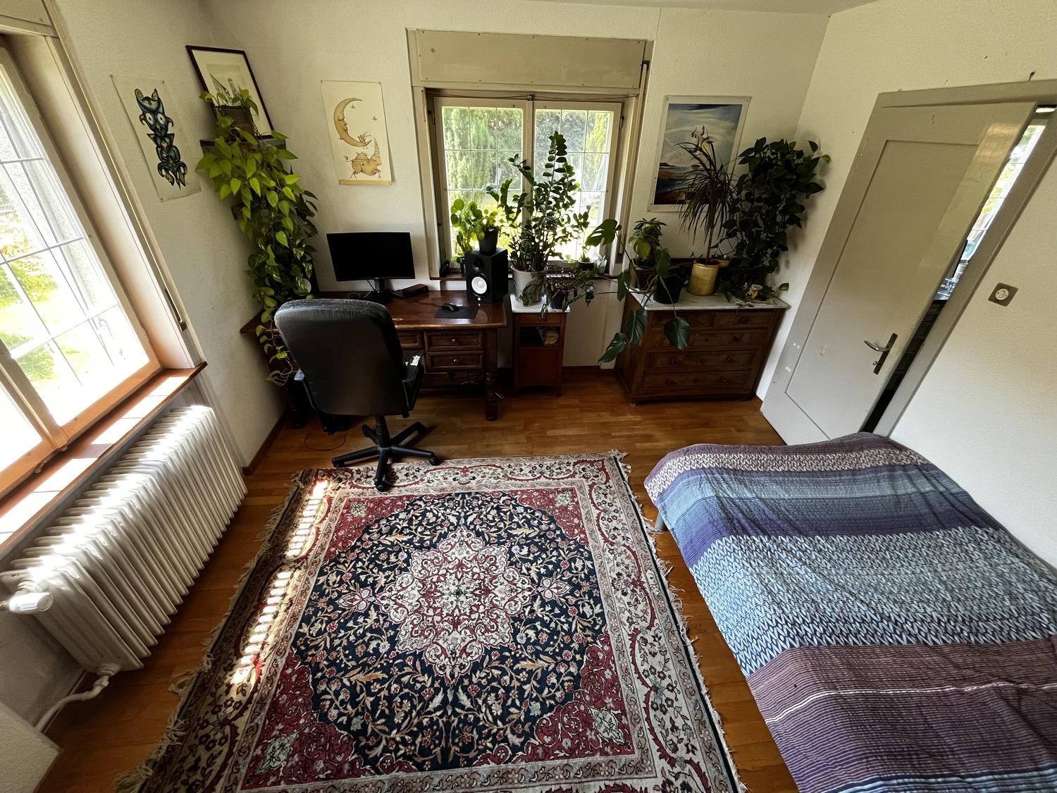 Room in a shared flat