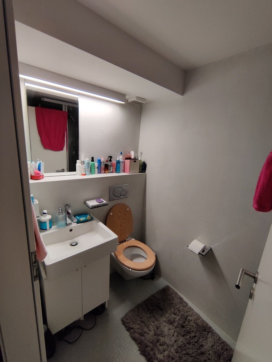 Room in a shared flat