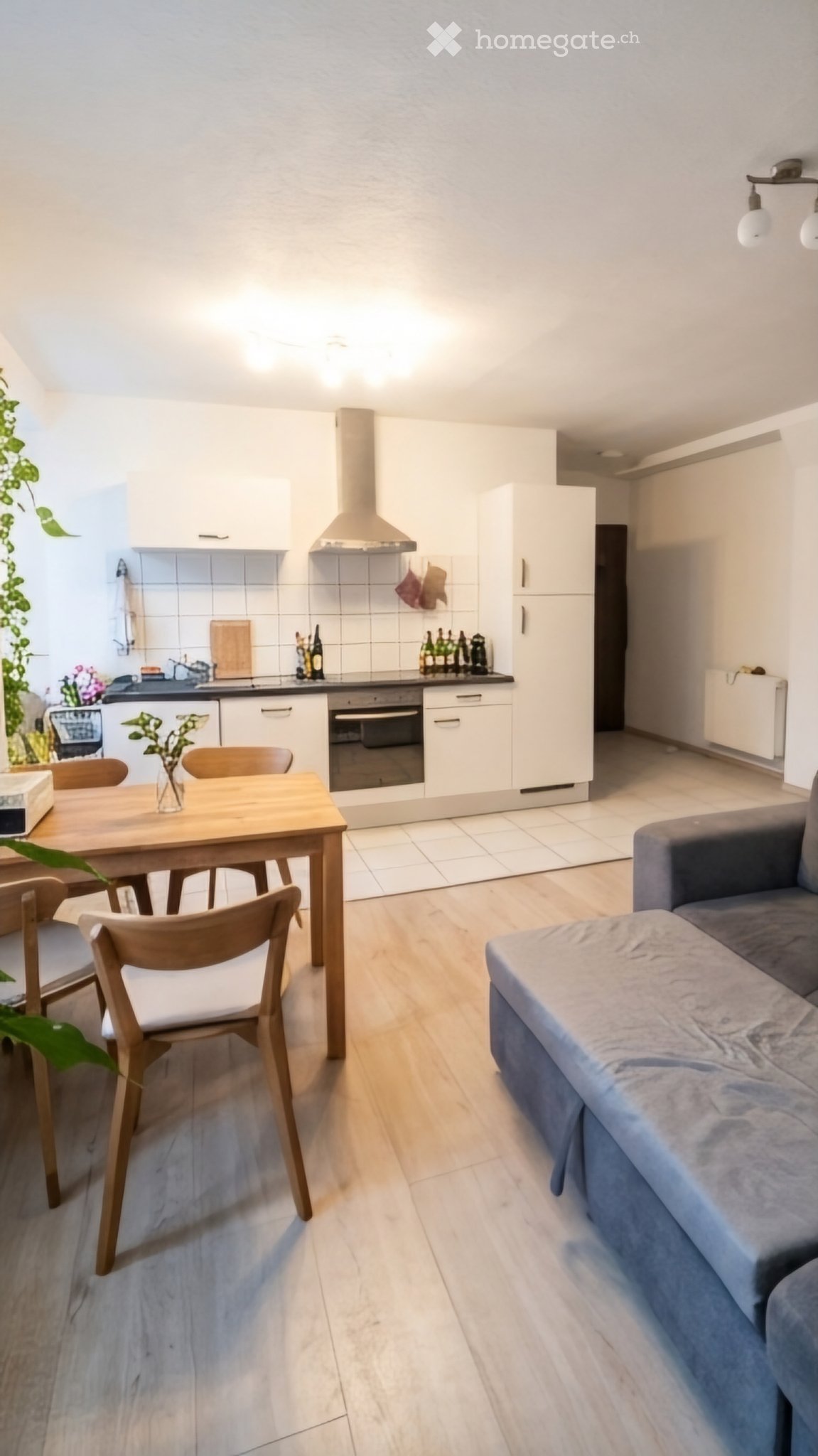 2 ½ rooms apartment, photo 1 sur 5