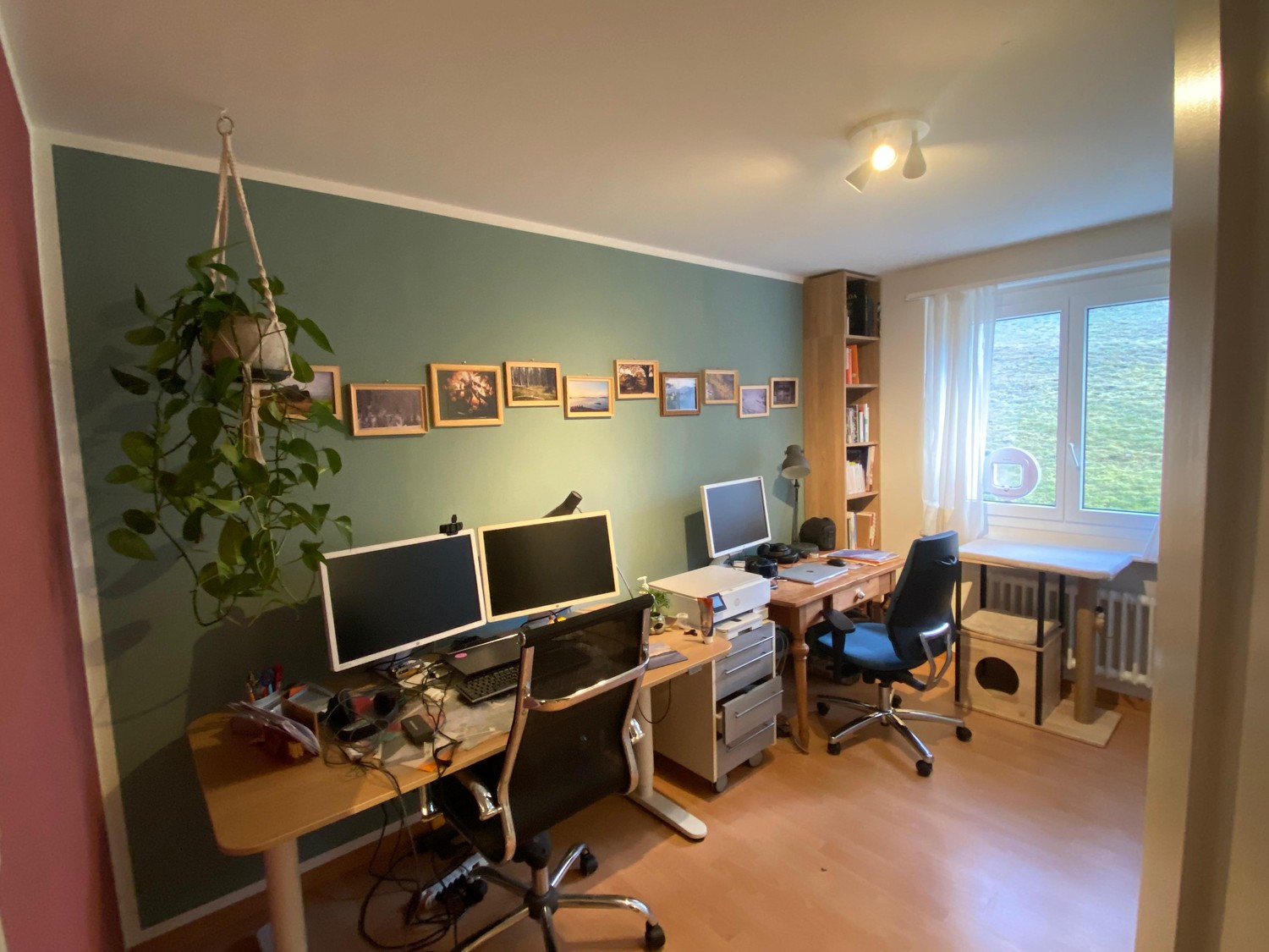 Appartement de 2 ½ pièces, photo 1 sur 7