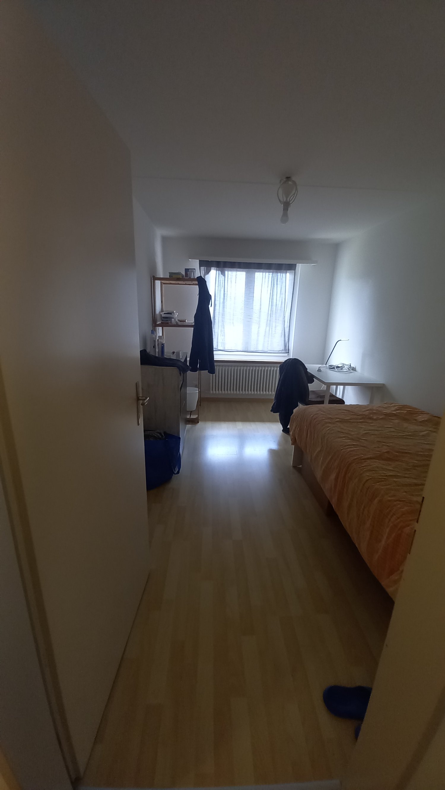 Chambre en colocation, photo 2 sur 3