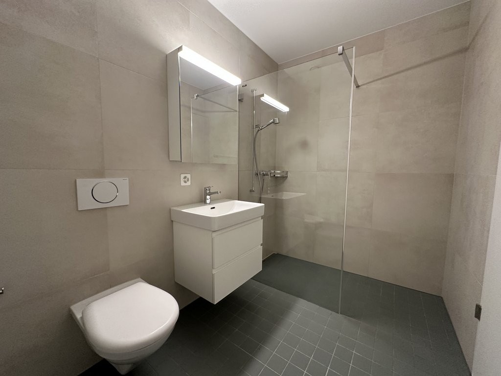 Appartement de 3 ½ pièces, photo 9 sur 10