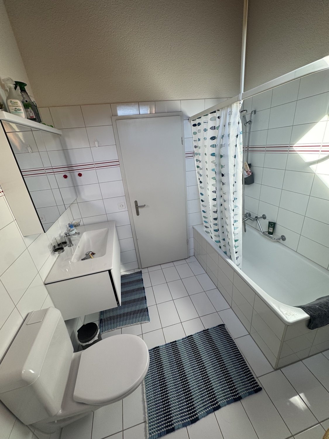 Appartement meublé de 3 pièces