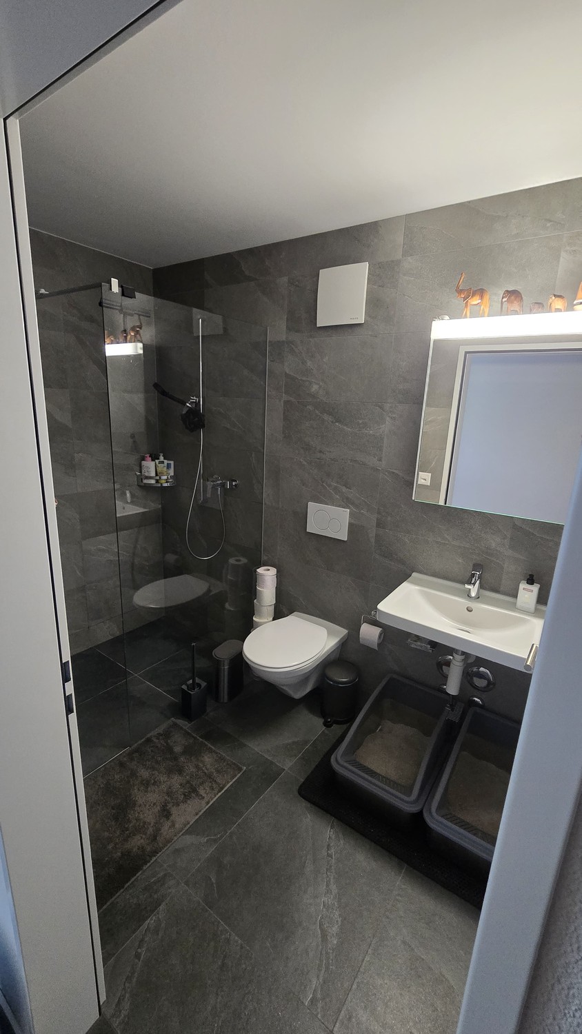 Appartement de 2 ½ pièces