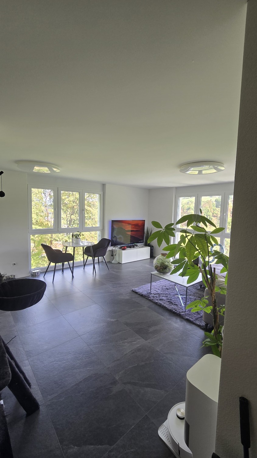 Appartement de 2 ½ pièces