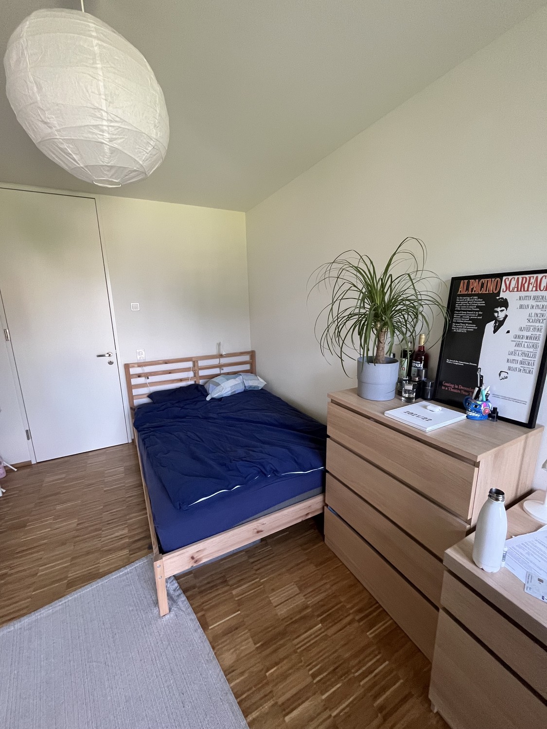 Room in a shared flat