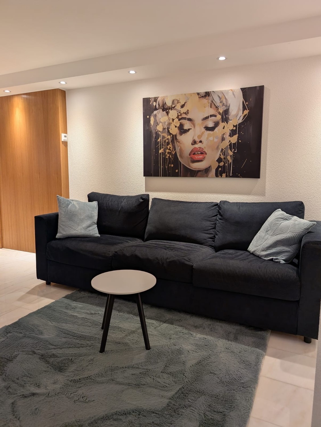 Appartement de 3 ½ pièces