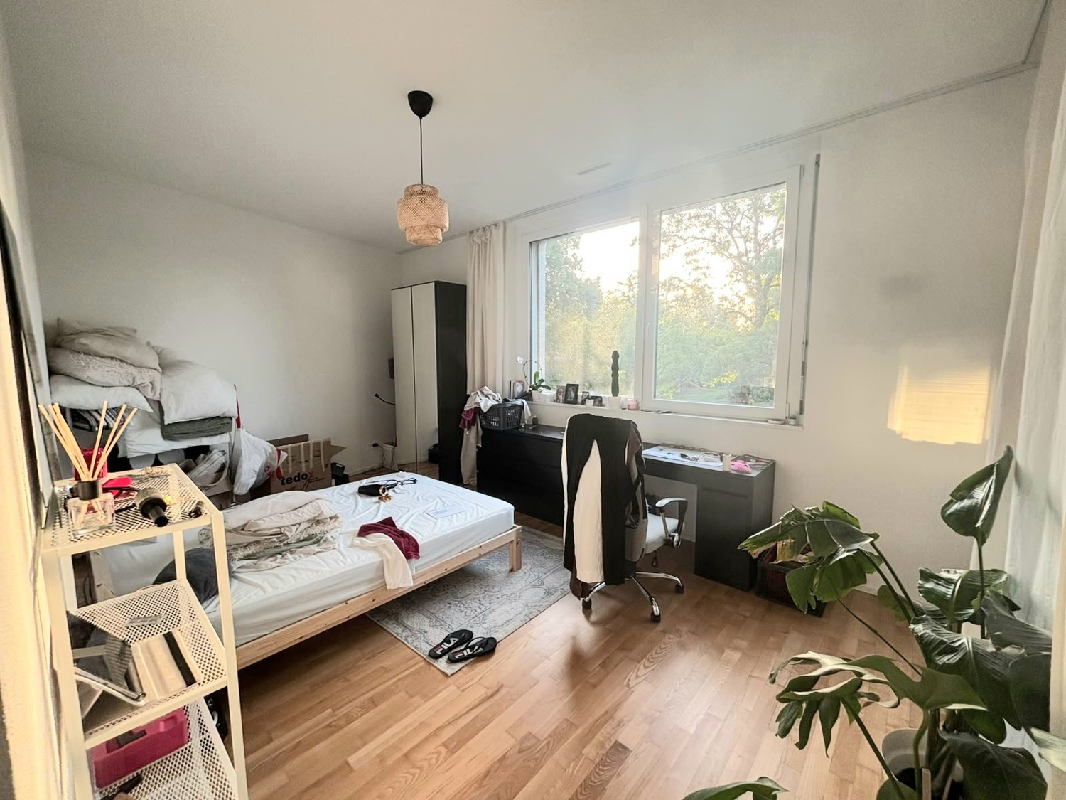 Chambre en colocation