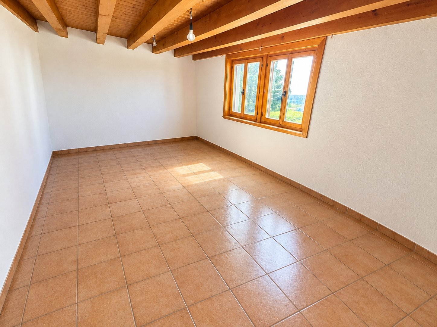 5 ½ rooms apartment, photo 1 sur 10