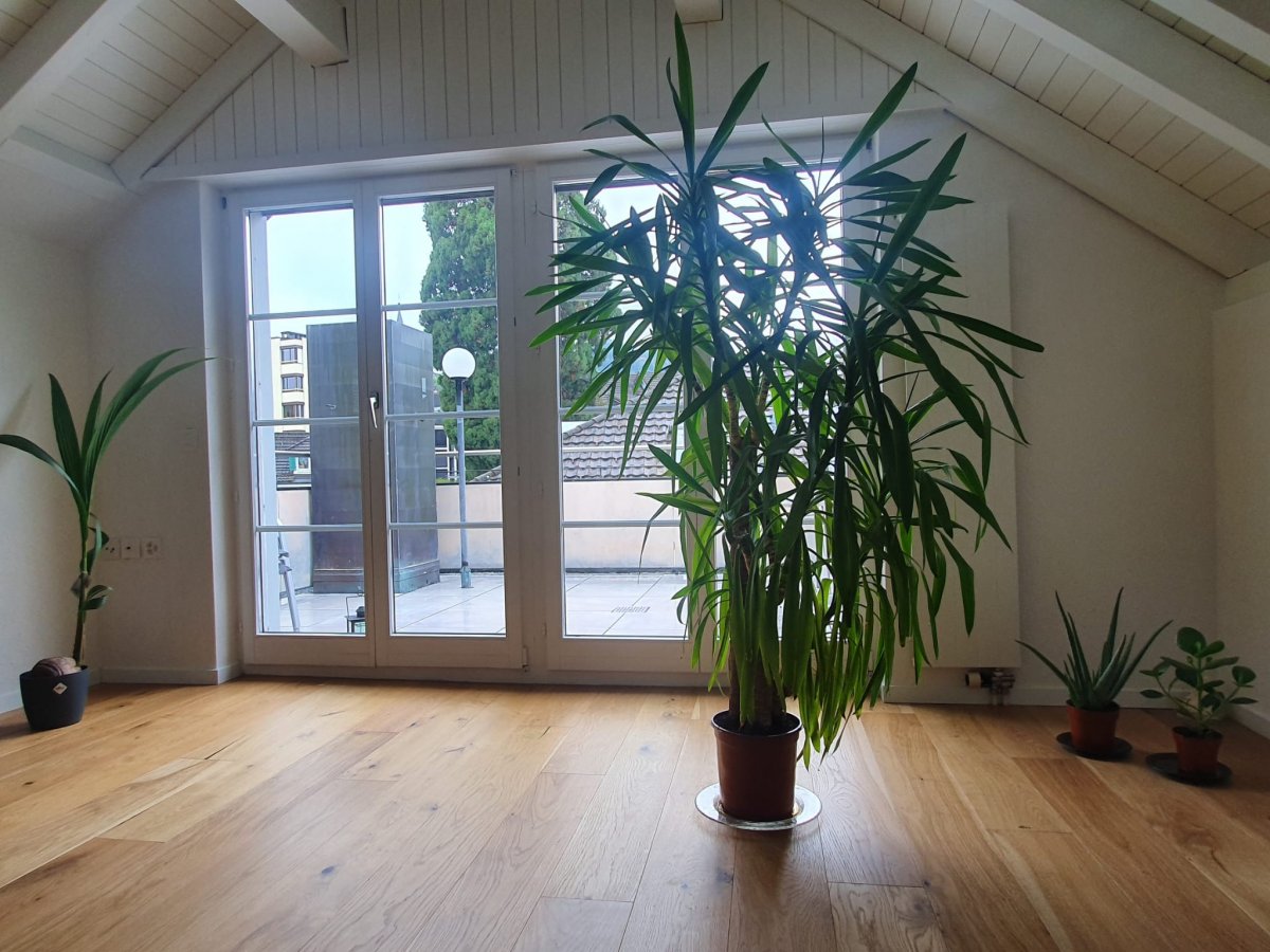 Appartement en attique de 2 ½ pièces, photo 1 sur 6