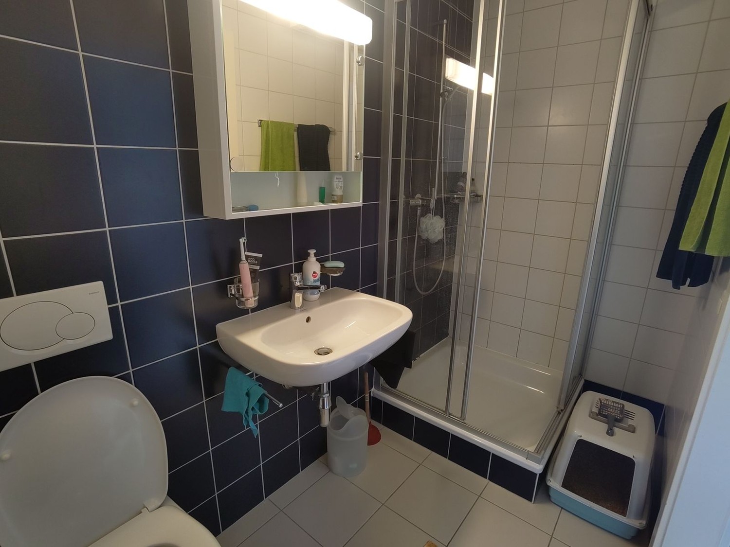 Room in a shared flat