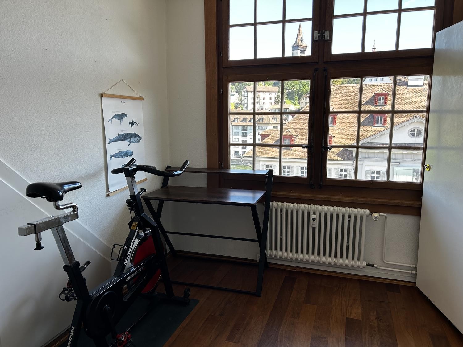 Room in a shared flat