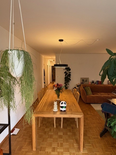 2 ½ rooms apartment, photo 5 sur 10