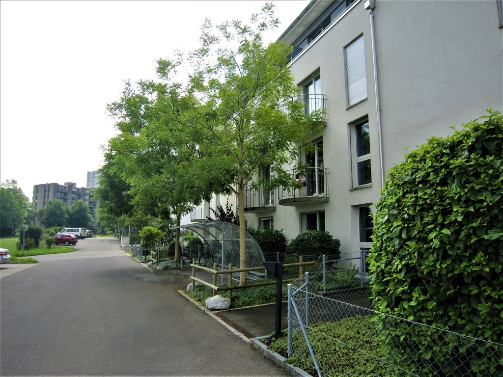 Appartement de 3 ½ pièces